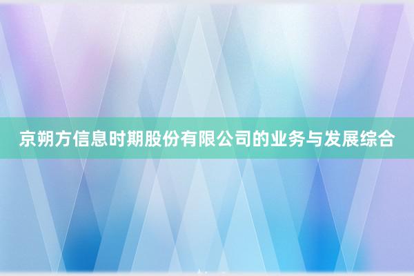 京朔方信息时期股份有限公司的业务与发展综合